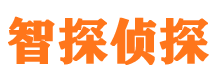 双柏外遇出轨调查取证